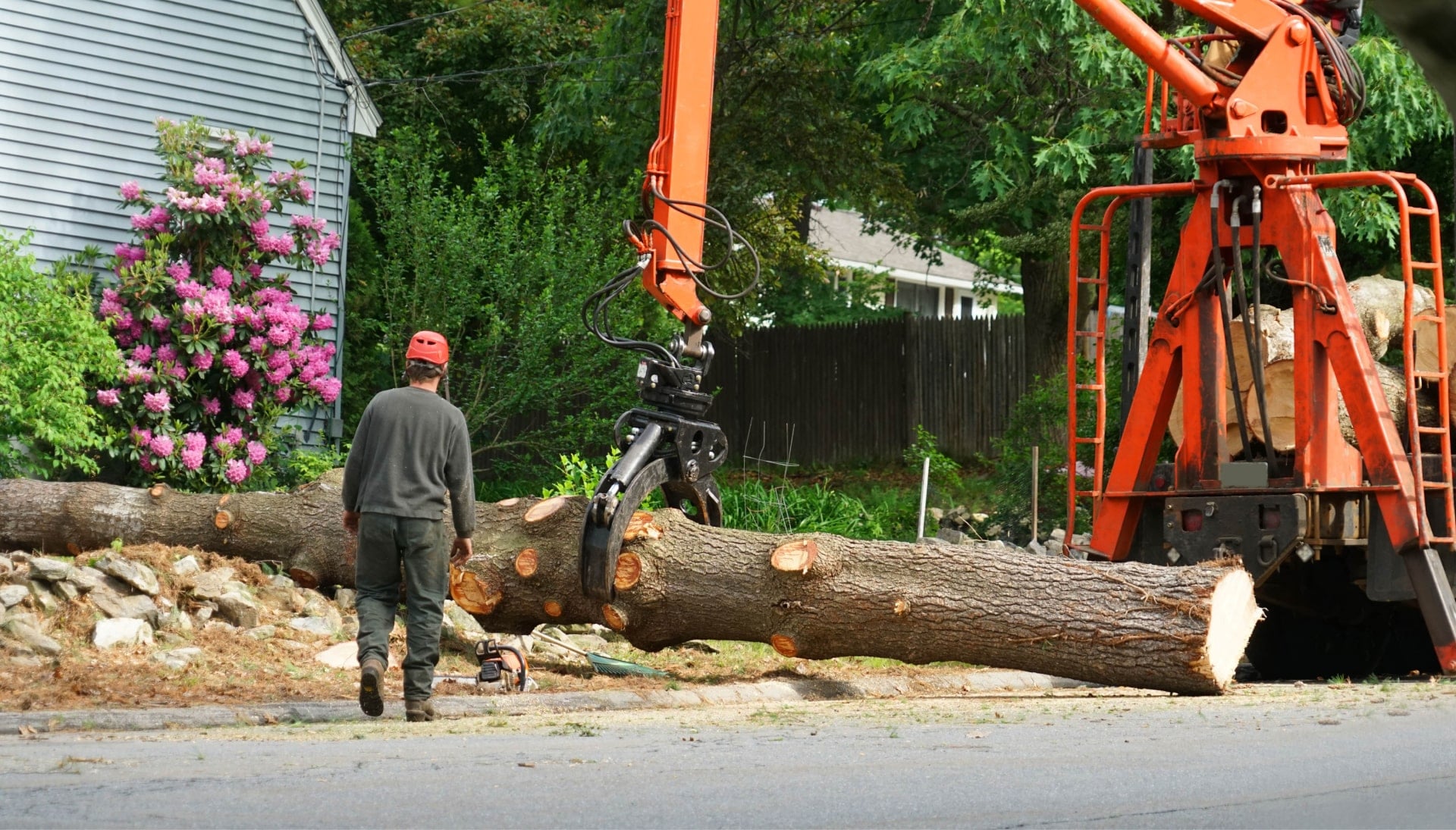 Top rated tree removal services San Francisco, California